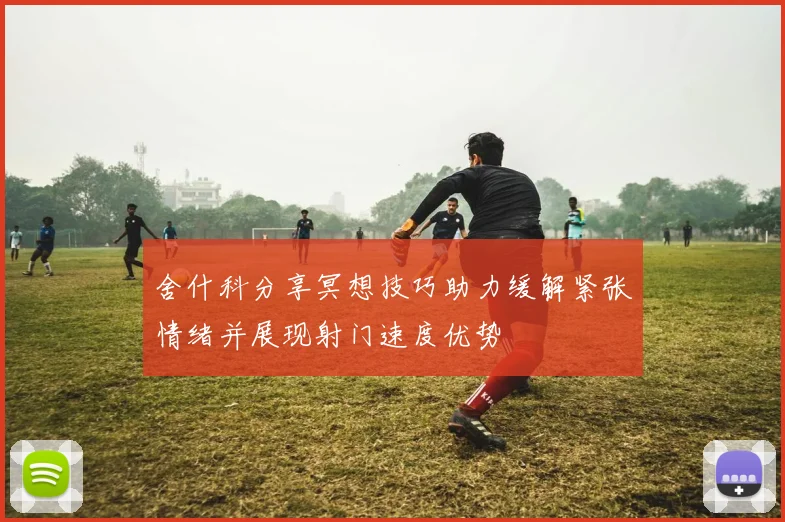 舍什科分享冥想技巧助力缓解紧张情绪并展现射门速度优势