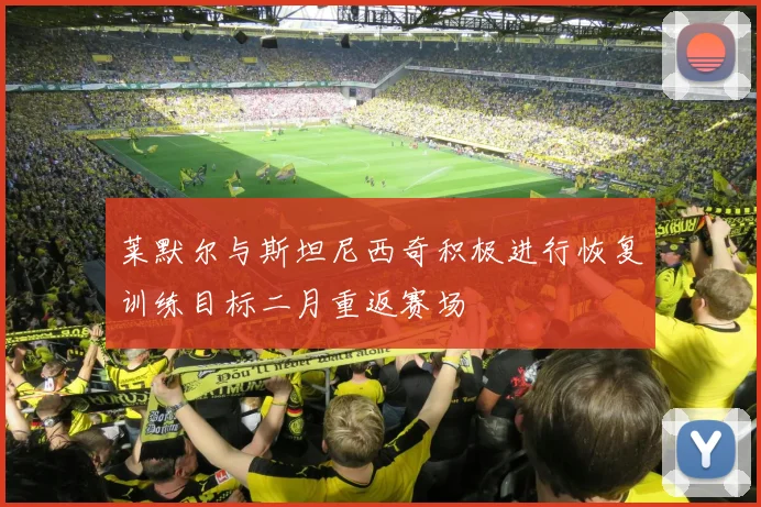 莱默尔与斯坦尼西奇积极进行恢复训练目标二月重返赛场